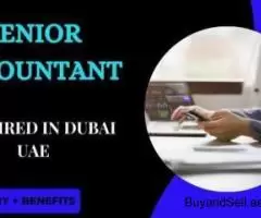 Senior Accountant Required in Dubai