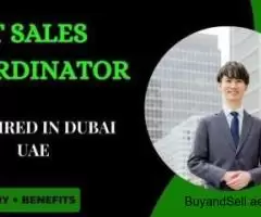 IT Sales Coordinator Required in Dubai