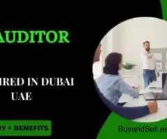 IT Auditor Required in Dubai