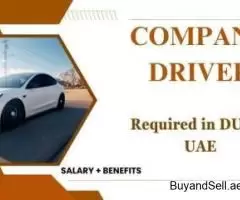 Company Driver Required in Dubai