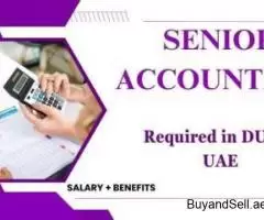 Senior Accountant Required in Dubai