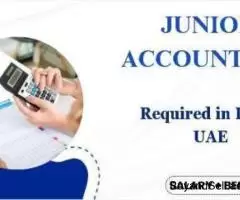 Junior Accountant Required in Dubai