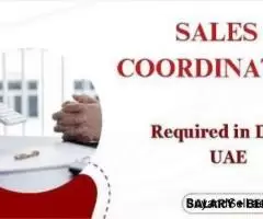 Sales Coordinator Required in Dubai