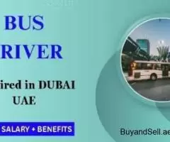 Bus Driver Required in Dubai