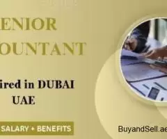 Senior Accountant Required in Dubai