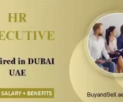 Human Resources Executive Required in Dubai