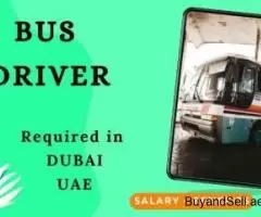 Bus Driver Required in Dubai