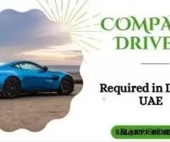 COMPANY DRIVER Required in Dubai