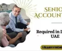 Senior Accountant Required in Dubai