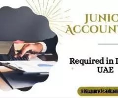 Junior Accountant Required in Dubai