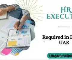 HR Executive Required in Dubai