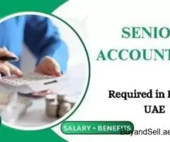 Senior Accountant Required in Dubai