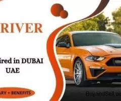 Driver Required in Dubai