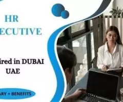 Human Resources Executive Required in Dubai