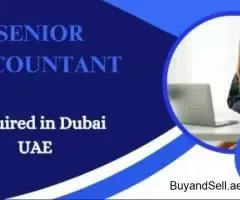 Senior Accountant Required in Dubai