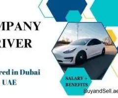 COMPANY DRIVER Required in Dubai