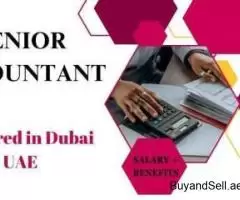 Senior Accountant Required in Dubai