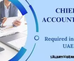 Chief Accountant Required in Dubai