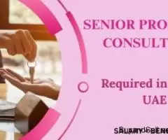 Senior Property Consultant Required in Dubai