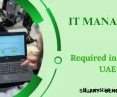 IT Manager Required in Dubai