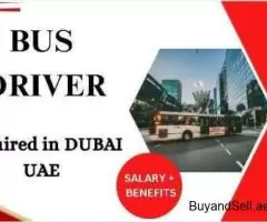 Bus driver Required in Dubai