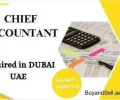 Chief Accountant Required in Dubai