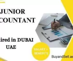 Junior Accountant Required in Dubai