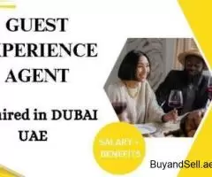 Guest Experience Agent Required in Dubai