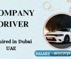 Company Driver Required in Dubai