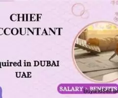 Chief Accountant Required in Dubai