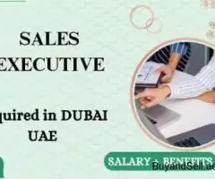 Sales Executive Required in Dubai