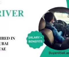 DRIVER Required in Dubai