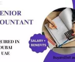 Senior Accountant Required in Dubai