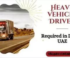 Heavy Vehicle Driver Required in Dubai