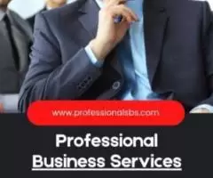 PRO SERVICES (New Business Setup and Visa Services) -