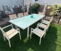 Dining set 9 pieces table and 9 chairs