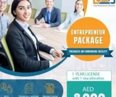 BUSINESS LICENSE IN UAE