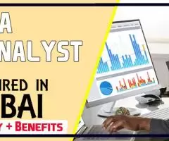 Data Analyst Required in Dubai -