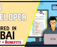 Web Developer Required in Dubai