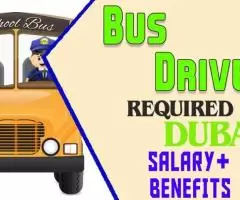 Bus Driver Required in Dubai