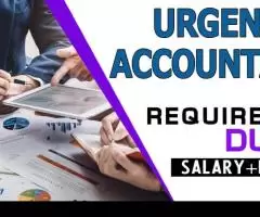 Urgent Accountant Required in Dubai -