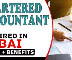 Chartered Accountant Required in Dubai