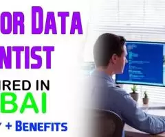 Senior Data Scientist Required in Dubai -