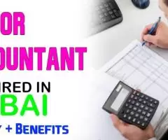 Senior Accountant Required in Dubai