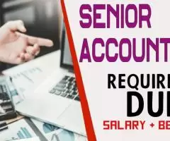 Senior Accountant Required in Dubai