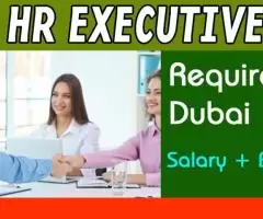 HR Executive Required in Dubai