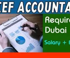 Chief Accountant Required in Dubai