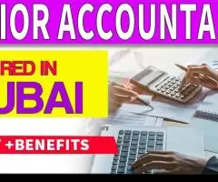 Senior Accountant Required in Dubai