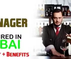 Bar Manager Required in Dubai -