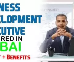 Business Development Executive Required in Dubai